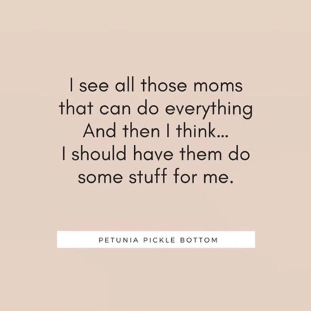 Petunia Pickle Bottom Baby Bag